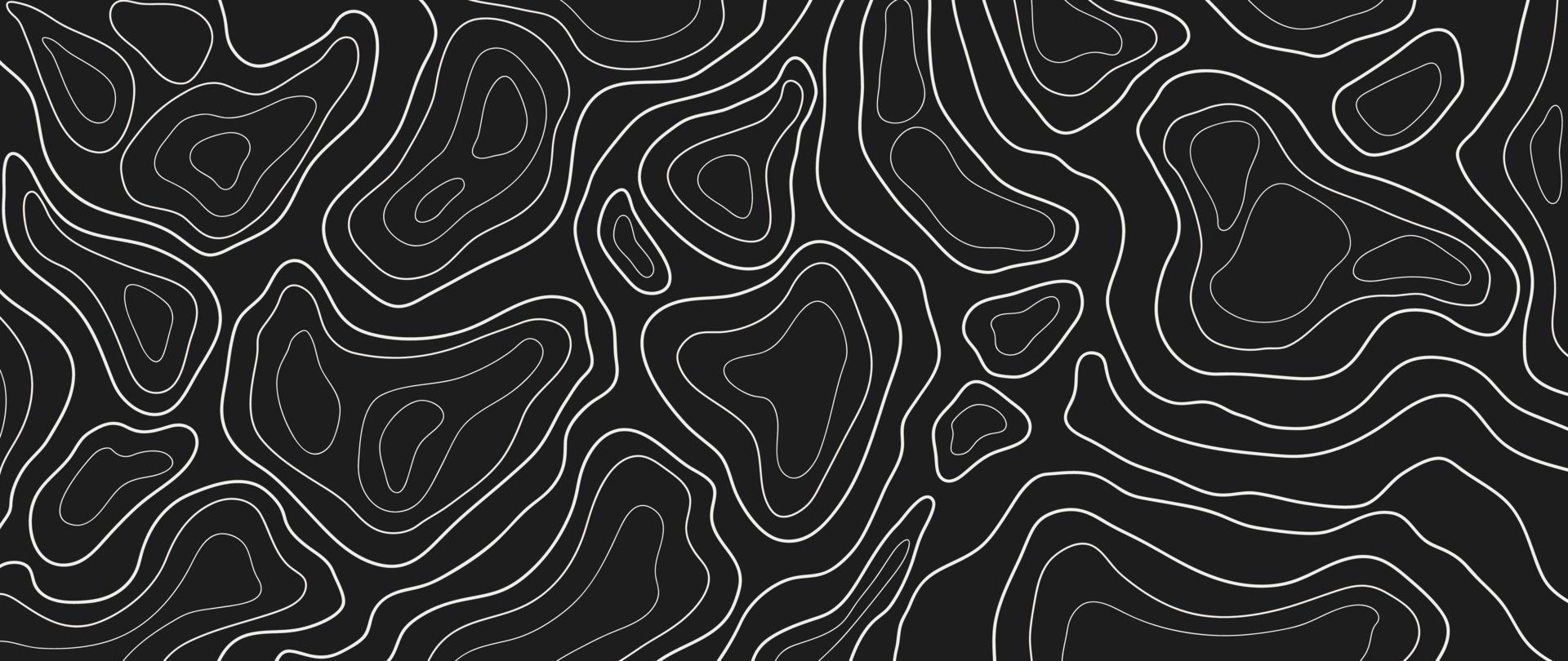 Topographic map with white contour lines on a black background