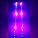 R1 WILDCAT EXTREME LED LIGHT WHIPS (Pair)