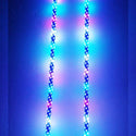 R1 WILDCAT EXTREME LED LIGHT WHIPS (Pair)