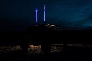 Buy black-light 5150 WHIPS Hyper Color Whips